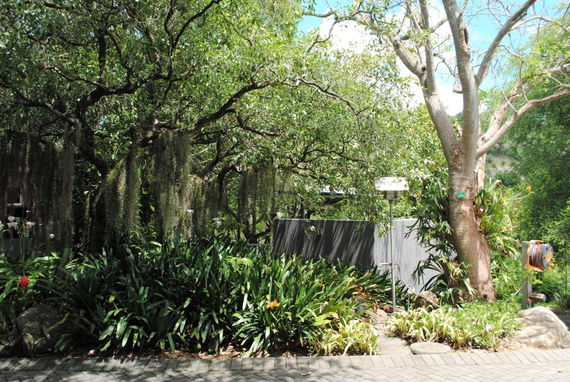 Birds Babble Self Catering Hotell Mbombela Exteriör bild