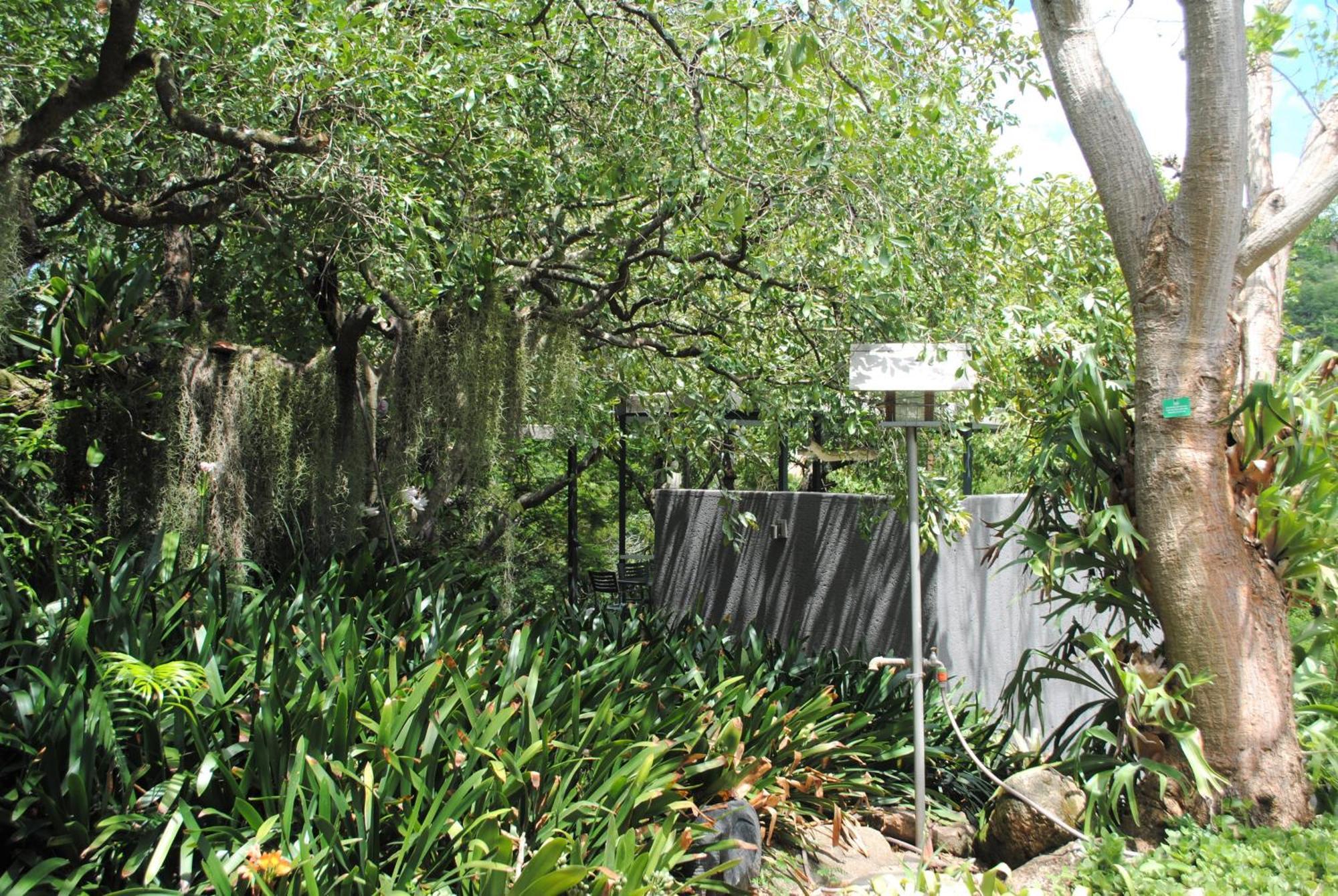 Birds Babble Self Catering Hotell Mbombela Exteriör bild