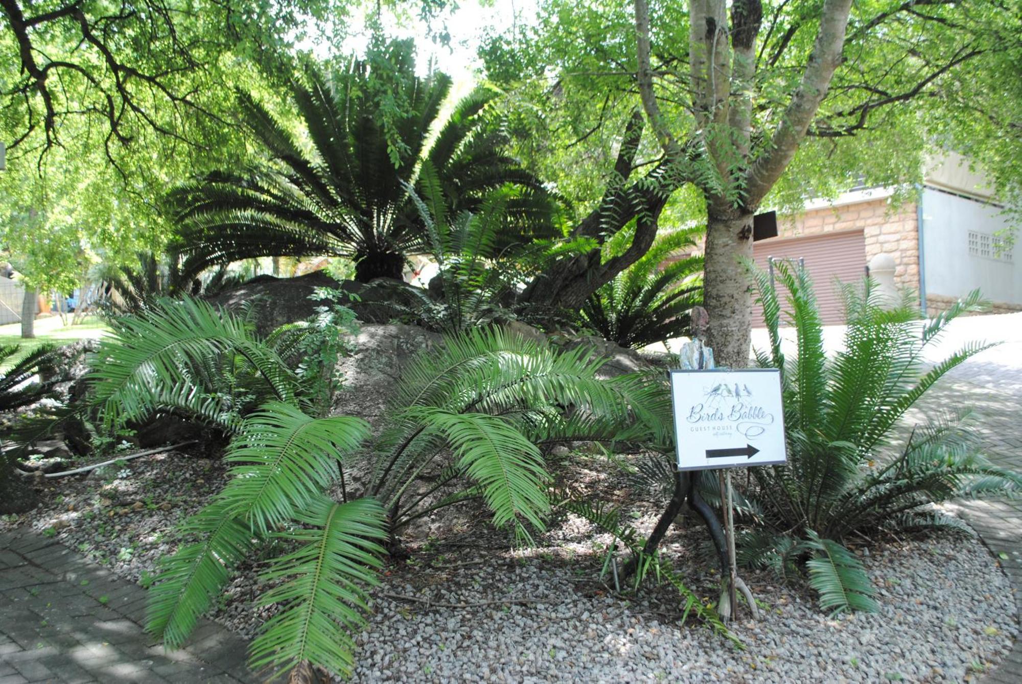 Birds Babble Self Catering Hotell Mbombela Exteriör bild